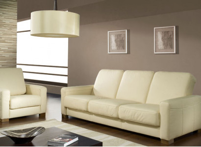 Zweisitzer Couch Klassische Ledersofa Couch Polster Sofa 2 Sitzer Leder